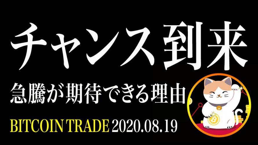 【ビットコイン】BTCチャンス到来!$11000を守れば急騰が期待できる理由を解説!【ビットコイン相場分析・毎日更新】