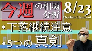 【ビットコイン/BTC】今週の相場分析。トレードで勝つための5つの「真剣」とは?