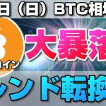 【仮想通貨】ビットコイン大暴落で今後どうなる？今日の下落の影響と今後の相場について。ローソク足だけでBTCの今後の相場を分析！BTC/USD【8月2日（日）】