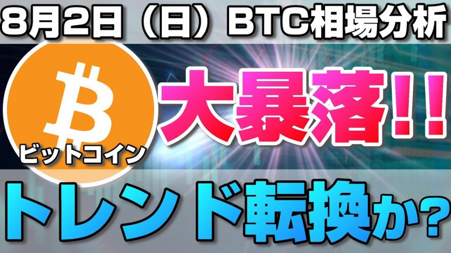 【仮想通貨】ビットコイン大暴落で今後どうなる？今日の下落の影響と今後の相場について。ローソク足だけでBTCの今後の相場を分析！BTC/USD【8月2日（日）】