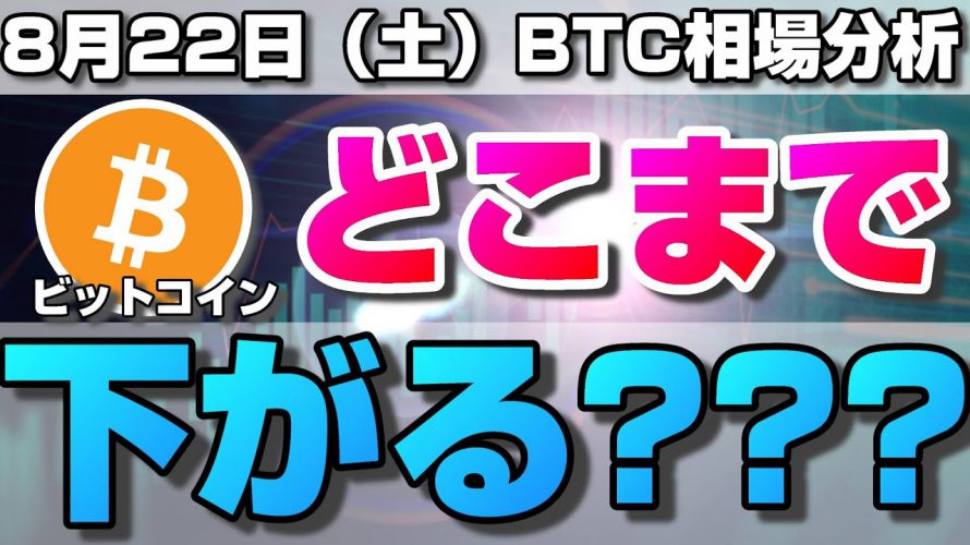 【仮想通貨】ビットコイン下落継続!どこまで下がる?今後上昇するために必要な値動きとは。ローソク足だけでBTCの今後の相場を分析!BTC/USD【8月22日(土)】
