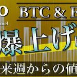 【ビットコイン＆イーサリアム】アルトコインバブル？来週からのBTCとETH相場分析と戦略について