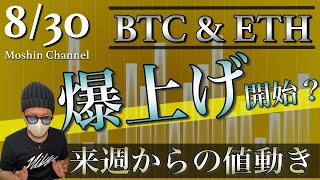 【ビットコイン＆イーサリアム】アルトコインバブル？来週からのBTCとETH相場分析と戦略について