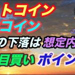 モナコイン 下落は想定内。押し目買いポイントを探る！