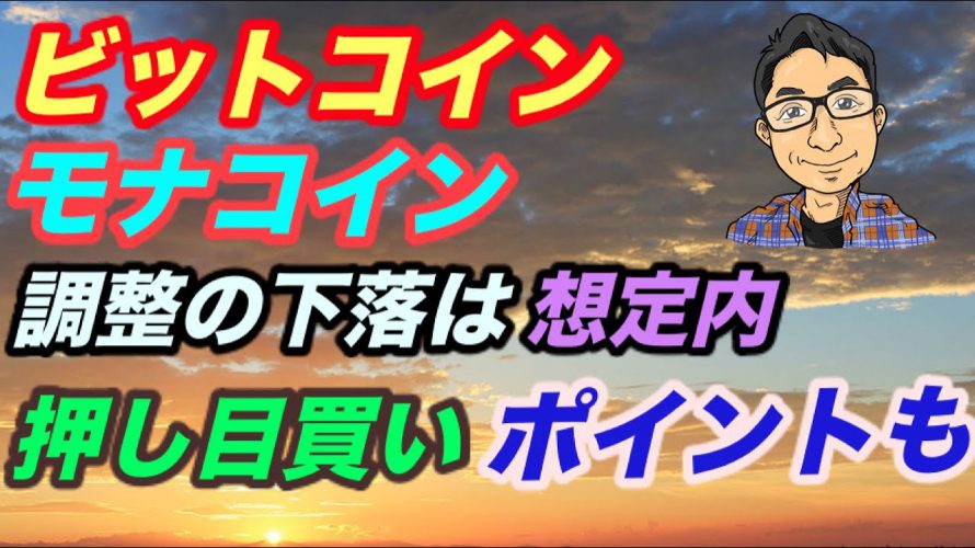 モナコイン 下落は想定内。押し目買いポイントを探る！