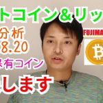 【ビットコイン＆リップル】仮想通貨相場分析　私の保有コインを公表します