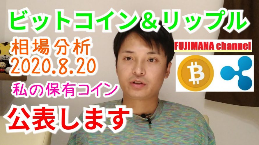 【ビットコイン&リップル】仮想通貨相場分析 私の保有コインを公表します