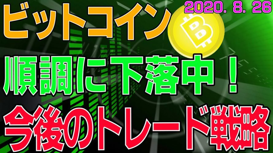 【ビットコイン】仮想通貨　順調に下落中！今後のトレード戦略は？？〈今後の値動きを初心者にもわかりやすくチャート分析〉２０２０．８．２６