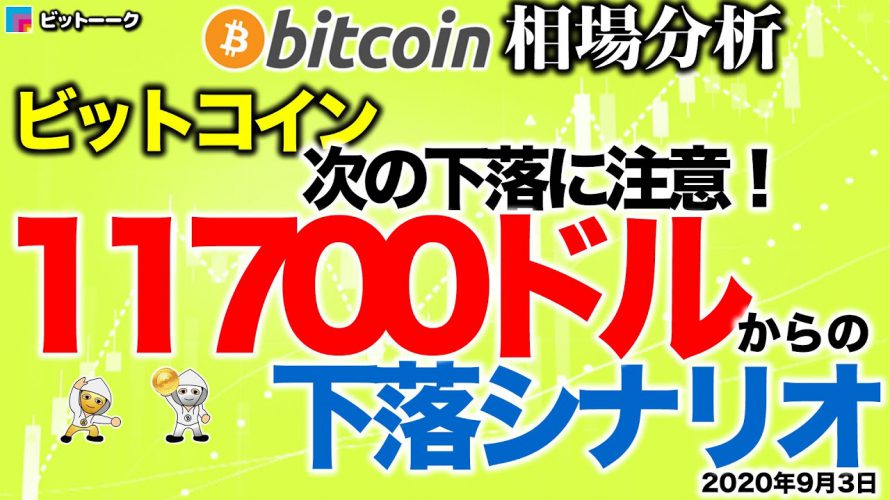 【ビットコイン 仮想通貨】次の下落に注意!11700ドルからの下落シナリオ【2020年9月3日】BTC、ビットコイン、XRP、リップル、仮想通貨、暗号資産、爆上げ、暴落