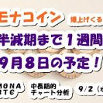 仮想通貨 モナコインの半減期まで1週間！9月8日の予定！【9月2日】MONA・BTC中長期的チャート分析