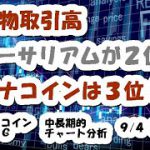 仮想通貨 現物取引でイーサリアムが2位､モナコインは3位！【9月4日】MONA・BTC中長期的チャート分析