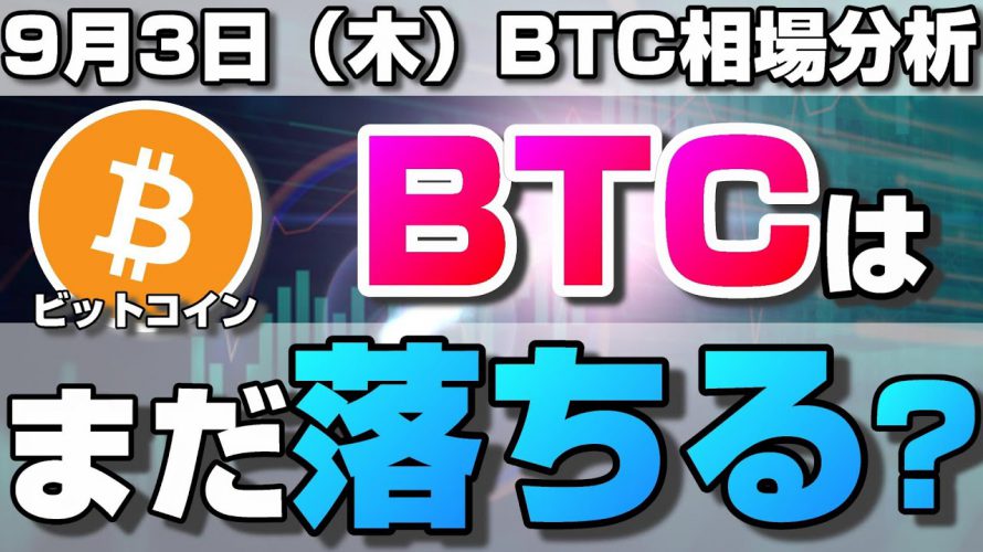 【仮想通貨】ビットコインまだ落ちる?大暴落の原因は?下落後の2種類のシナリオについて。ローソク足だけでBTCの今後の相場を分析!BTC/USD【9月3日(木)】