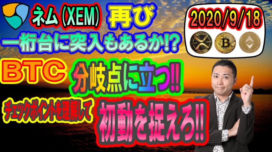 【ビットコイン・イーサリアム・リップル】激難!!フィボナッチの50％での攻防戦!!初動あるまで待機!!