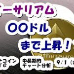 仮想通貨 イーサリアム〇〇ドルまで上昇！？【9月1日】モナコイン・BTC中長期的チャート分析