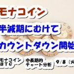 仮想通貨 モナコイン半減期にむけてカウントダウン開始！【9月8日】MONA・BTC中長期的チャート分析