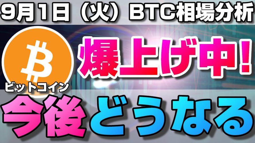 【仮想通貨】ビットコイン上昇中！今後どうなる？大上昇の要因と月足確定後の値動きの法則性について。ローソク足だけでBTCの今後の相場を分析！BTC/USD【9月1日（火）】