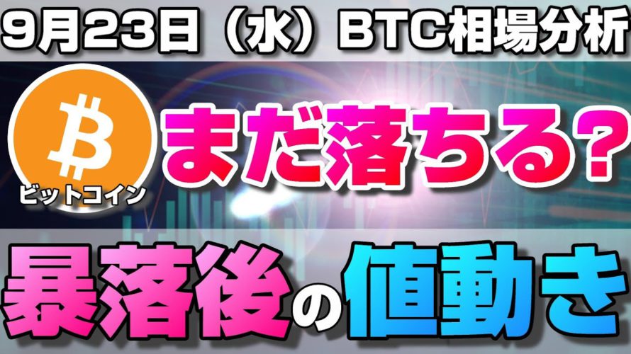 【仮想通貨】ビットコインはまだ下がる？今後安値更新した時の重要ラインと可能性の高い値動きについて。ローソク足だけでBTCの今後の相場を分析！BTC/USD【9月23日（水）】