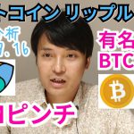 【ビットコイン,リップル,ネム】仮想通貨相場分析　有名人がBTC購入⤴️NEMピンチ！