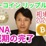 【ビットコイン,リップル,モナ】仮想通貨相場分析　MONA半減期の完了