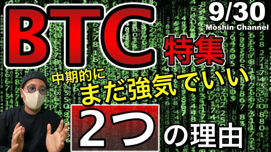 【ビットコイン&NEM】BTCは短期的に下落予兆も中期的にはまだ強気?ビットコイン中期、短期分析とネムの直近戦略