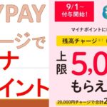 Paypayチャージでマイナポイントが即日付与される方法！お得な使い方とは？