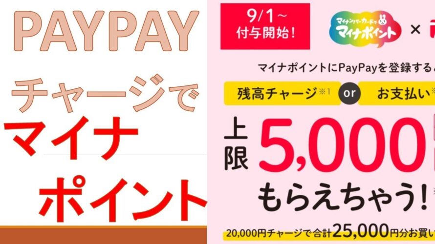 Paypayチャージでマイナポイントが即日付与される方法!お得な使い方とは?