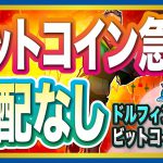 仮想通貨ビットコインの急落、なぜ心配いらない？【ドルフィンfのチャート分析】