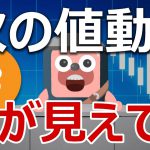 ビットコインの次の値動きをトップアナリストが発表したので解説するよ