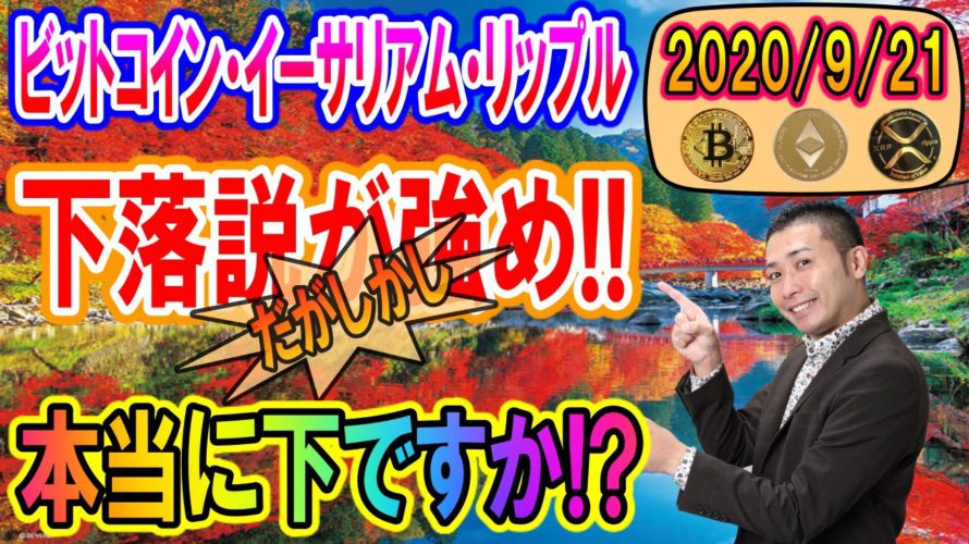 【ビットコイン・イーサリアム・リップル】本当に下ですか!?独自のチャート分析を展開!!重要ポイントを解説!!