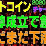 【ビットコイン】仮想通貨　三尊成立で急落！まだまだ下落する？！〈今後の値動きを初心者にもわかりやすくチャート分析〉２０２０．９．２１