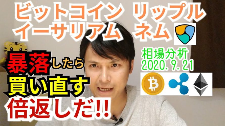 【ビットコイン,リップル,ネム,イーサリアム】仮想通貨相場分析 暴落したら買い直す、倍返しだ!!