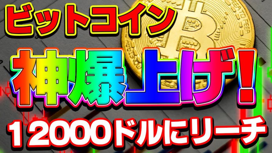 【仮想通貨】ビットコイン神爆上げ続く!12000ドルはまもなくですね^^
