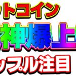 【仮想通貨】ビットコインロング継続！12000ドルまで残り300ドル！