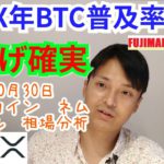 【ビットコイン,リップル,ネム】仮想通貨相場分析　20XX年BTC普及率90％