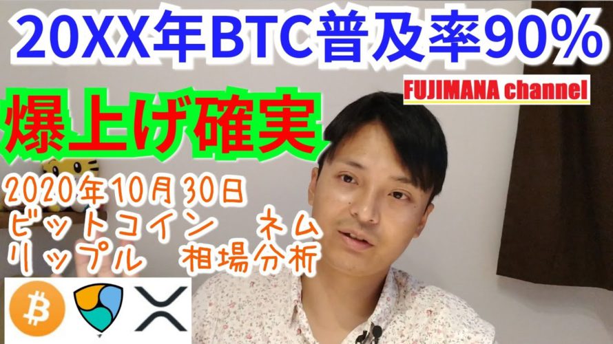 【ビットコイン,リップル,ネム】仮想通貨相場分析　20XX年BTC普及率90％