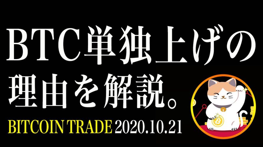 【ビットコイン】BTC無双!単独で上昇を続ける理由を解説!【仮想通貨相場分析・毎日更新】