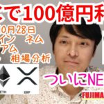 【ビットコイン,リップル,イーサリアム,ネム】仮想通貨相場分析　BTCで100億円利益の会社?!NEMはついに9円台