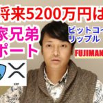 【ビットコイン,リップル,ネム】仮想通貨相場分析「BTC将来5200万円は必然」資産家兄弟がレポート