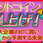 【BTC,NEMチャート分析】祝！爆上げ！企業のbitcoin買いはマジでど偉いことになりますよ。【先行者利益！ビットコイン爆買い合戦開幕か】