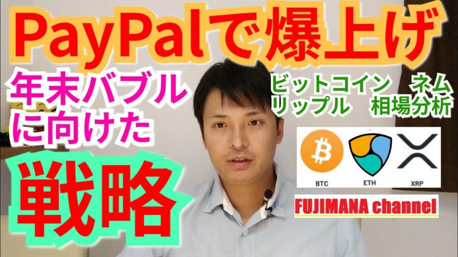 【ビットコイン,リップル,ネム】仮想通貨相場分析　PayPalで爆上げ‼️年末バブルに向けた戦略