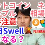 【ビットコイン,リップル,ネム】仮想通貨相場分析　暴落注意だが明日Swellでどうなる!?