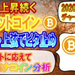 【ビットコイン・モナコイン】大きな上昇を見せたビットコイン!!チャネル上弦でビタ止まり!!モナコインの分析はリクエストにお応え!!