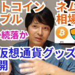 【ビットコイン,リップル,ネム】仮想通貨相場分析　反発か続落か!?僕の仮想通貨グッズを公開します