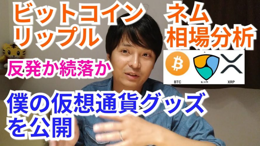 【ビットコイン,リップル,ネム】仮想通貨相場分析　反発か続落か!?僕の仮想通貨グッズを公開します