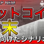 【ビットコイン＆リップル＆ネム】一旦調整もまだまだ期待！直近相場の攻め方