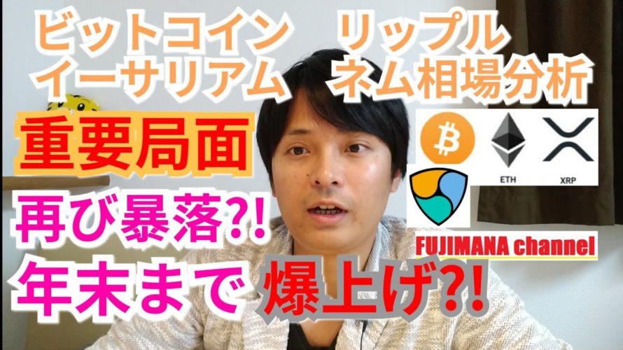 【ビットコイン,リップル,イーサリアム,ネム】仮想通貨相場分析　重要局面‼️再び暴落?!年末まで爆上げ?!