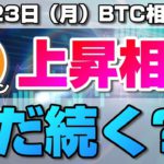 【仮想通貨】ビットコイン13万円幅の下落！上昇トレンドはまだ続く？BTCの短期的な相場のポイントと値動きについて解説！BTC/USD【11月23日（月）】