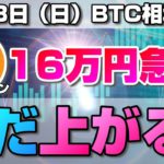 【仮想通貨】ビットコイン爆上げからの16万円の急落！今後まだ上がる？現在のBTCの全体相場と今後重要なポイントについて。BTC/USD【11月8日（日）】