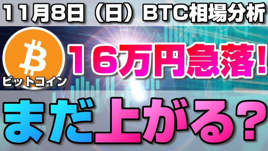 【仮想通貨】ビットコイン爆上げからの16万円の急落!今後まだ上がる?現在のBTCの全体相場と今後重要なポイントについて。BTC/USD【11月8日(日)】