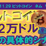 【ビットコイン、ネム、リップルチャート分析】ビットコイン調整終了！？今月二万ドル達成するための2つのシナリオ！